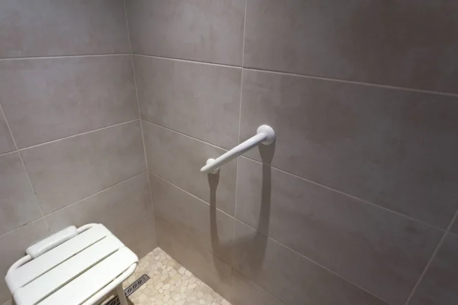 Grab bar and shower seat