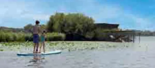Paddle sur le lac d'Aureilhan