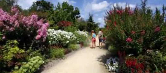 activite-promenade