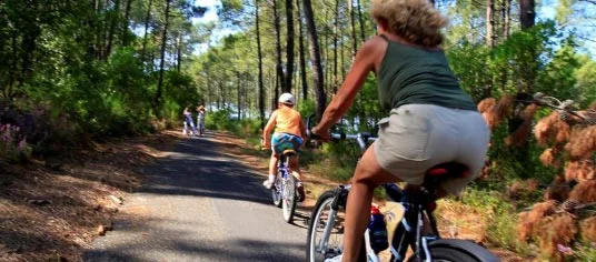 VTT en forêt landaise