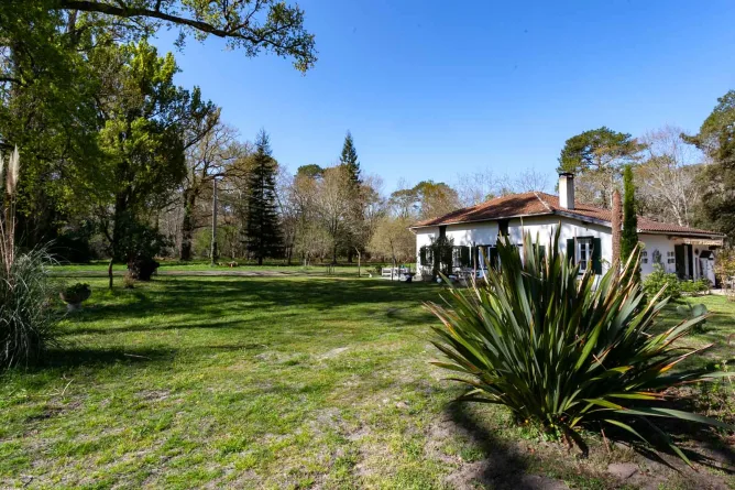 Photo of the gîte la Vigne, in Darricau, Aureilhan, near Mimizan, in the Landes region of France
